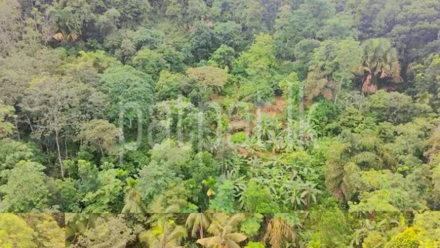 Commercial Land for Sale in Minuwangoda