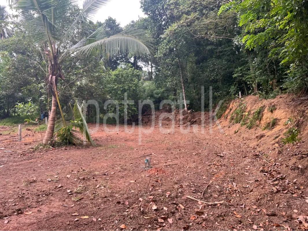 Residential Land for Sale in Wattala