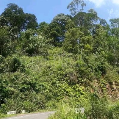 Commercial Land for Sale in Minuwangoda