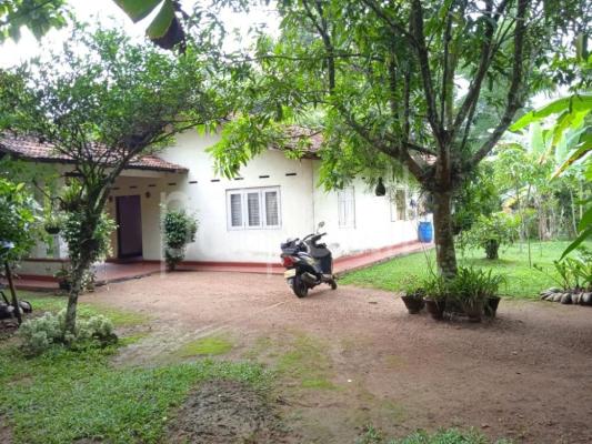 premium-listing-image