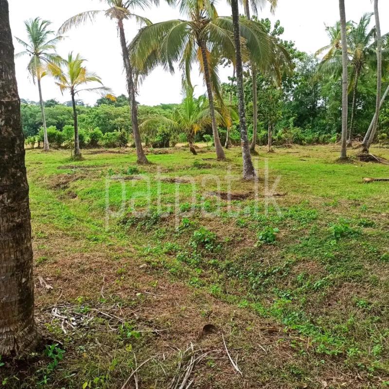 Residential Land for Sale in Wattala