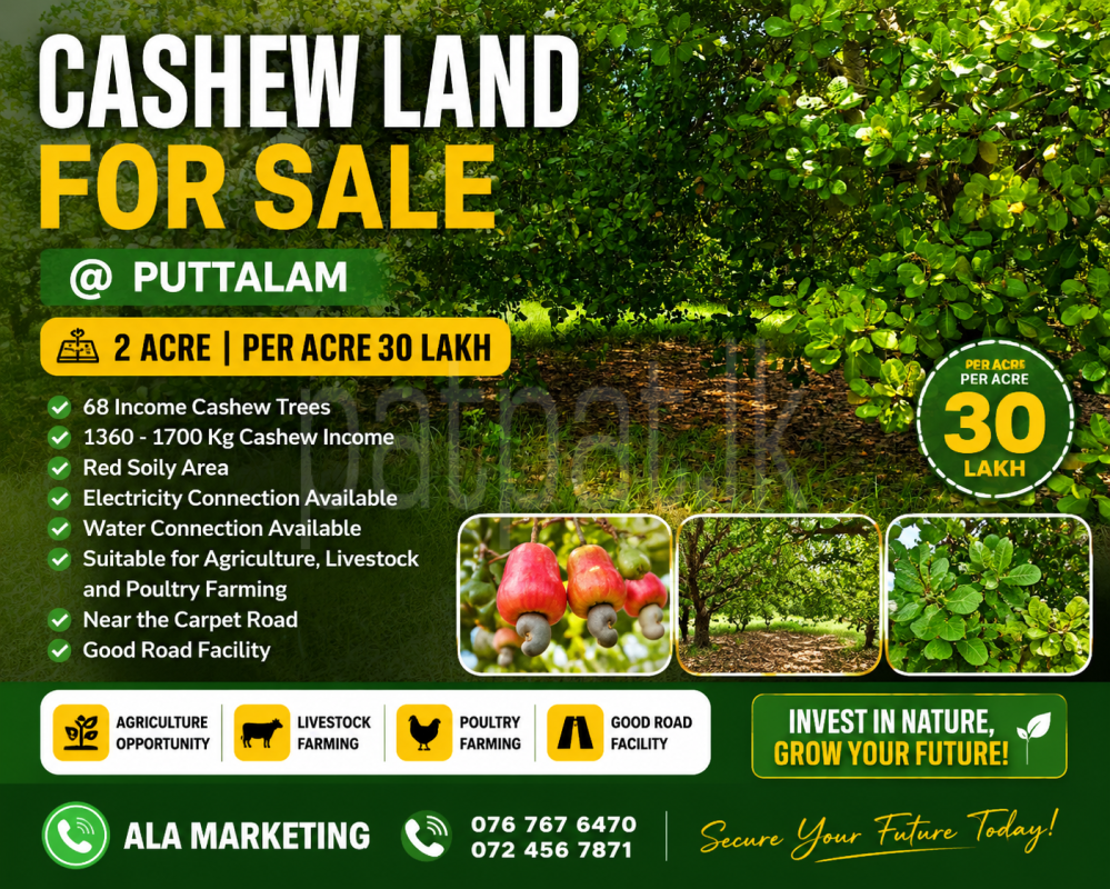 Agricultural Land for Sale in Puttalam
