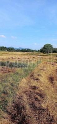 Agricultural Land for Sale in Sella Kataragama
