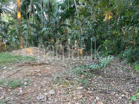 premium-listing-image