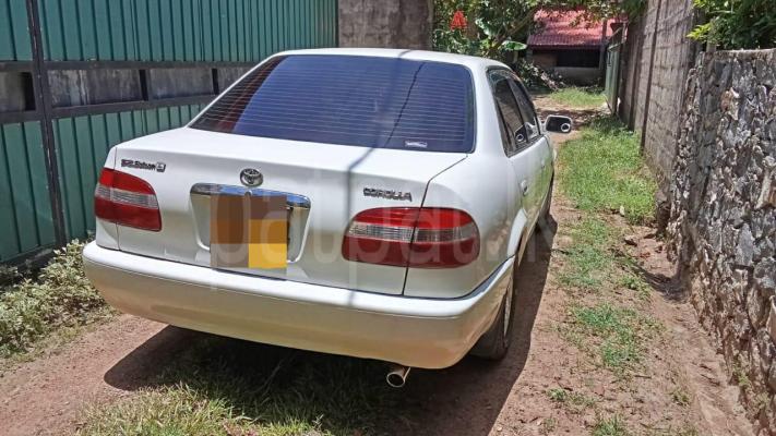 premium-listing-image