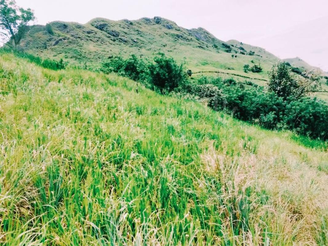 Agricultural Land for Sale in Kandy