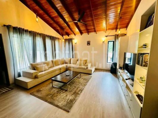 premium-listing-image