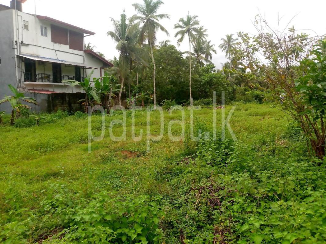 Commercial Land for Sale in Horana