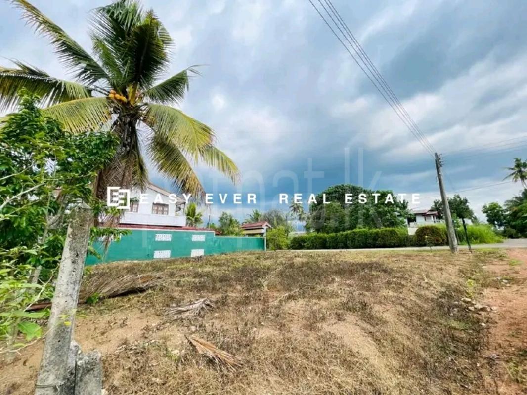 Commercial Land for Sale in Minuwangoda