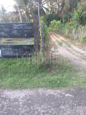 premium-listing-image