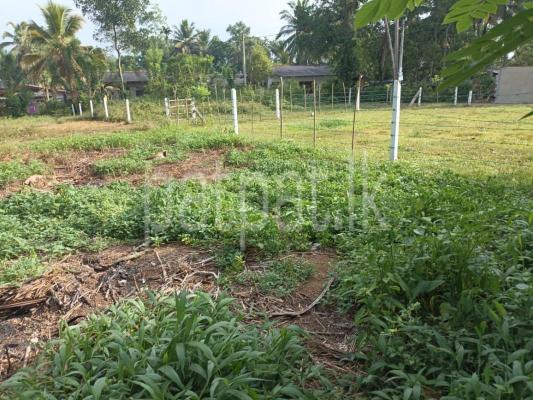 premium-listing-image