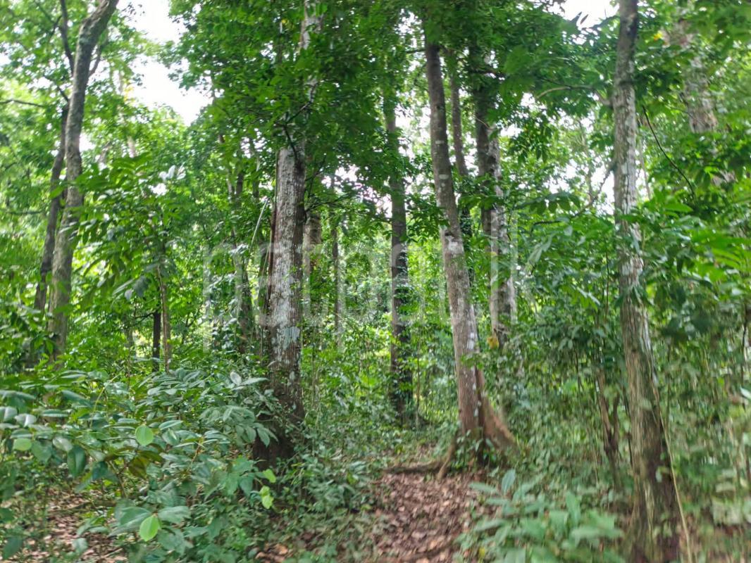 Residential Land for Sale in Giriulla