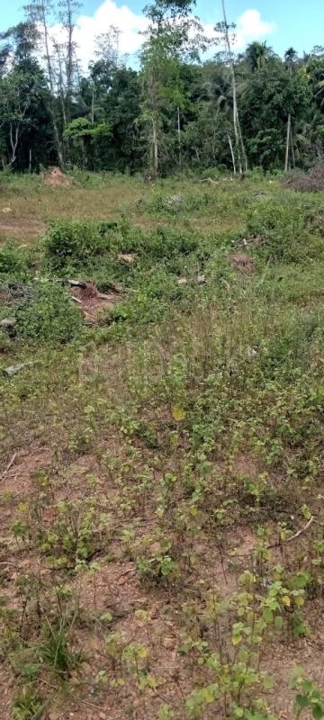 Residential Land for Sale in Horana