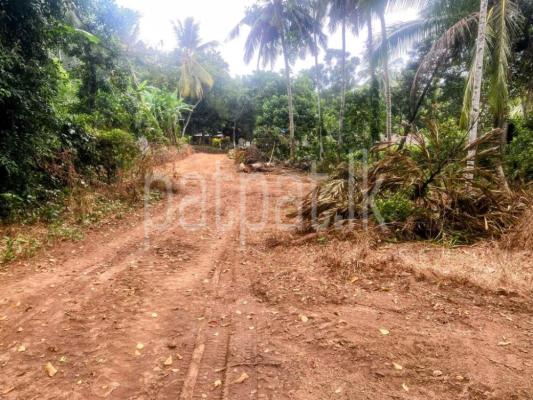 premium-listing-image