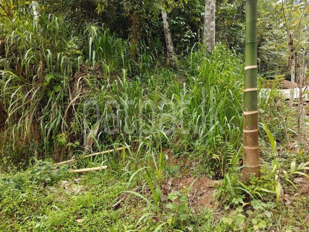 Residential Land for Sale in Gelioya