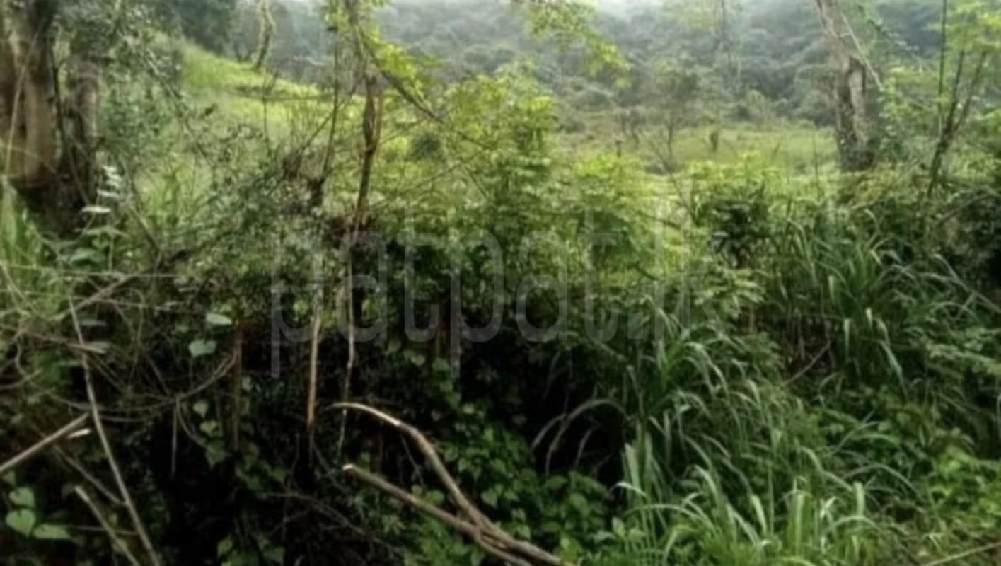 Agricultural Land for Sale in Kandy