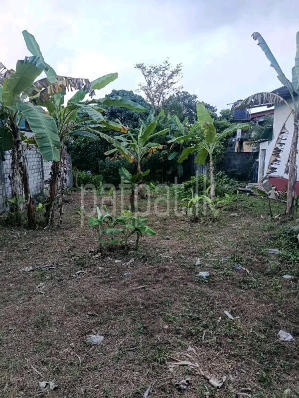 Residential Land for Sale in Minuwangoda