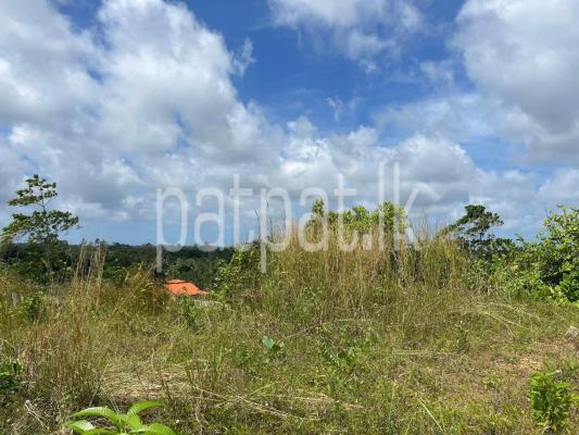 premium-listing-image