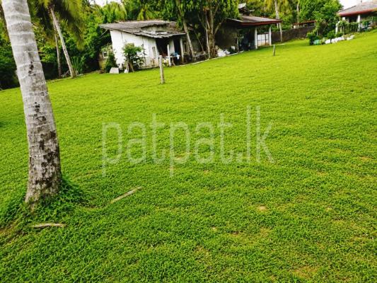 Residential Land for Sale in Wadduwa