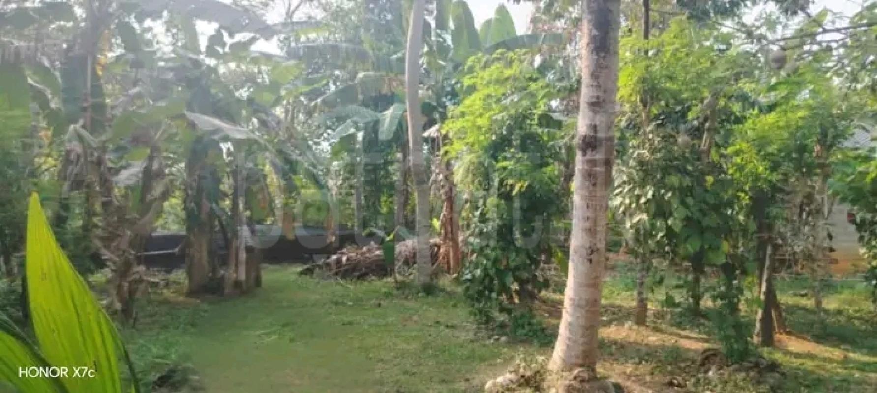 Residential Land for Sale in Bandaragama