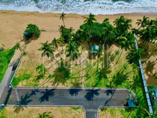 premium-listing-image