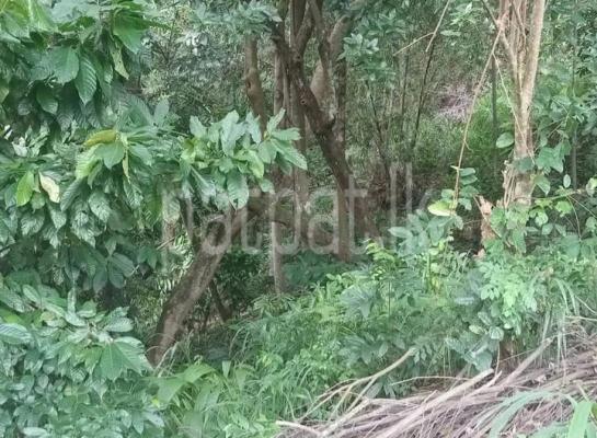 premium-listing-image