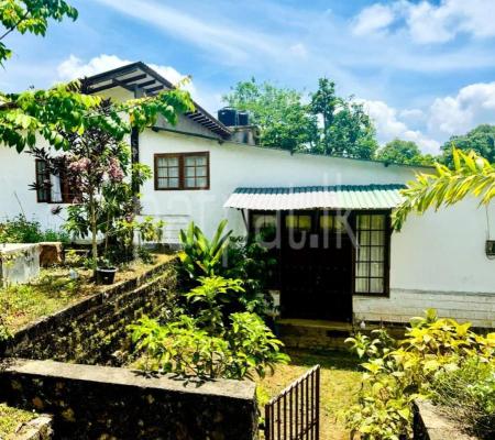 ECO GREEN BUNGALOW *** කන්දක් උඩ විඳින ගමන් Natural දියඇලි වල විනෝද වෙන්න ඔයාට මෙන්න වෙනස්ම place එකක් 😍