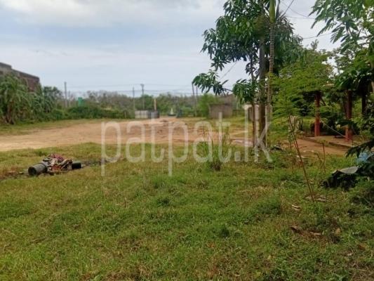 premium-listing-image