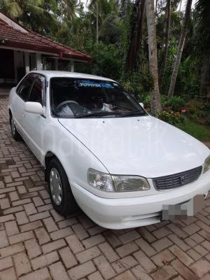 Toyota Corolla 1997 - Used Car sale in Sri Lanka - patpat.lk