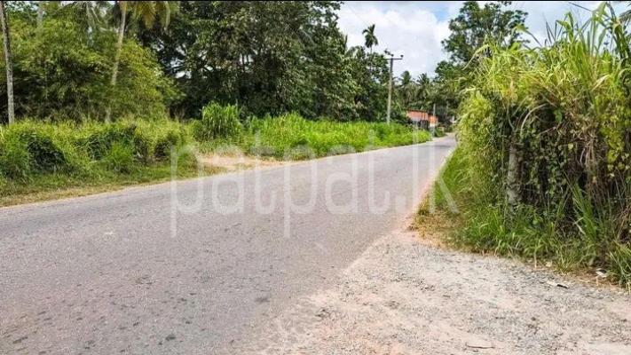 premium-listing-image