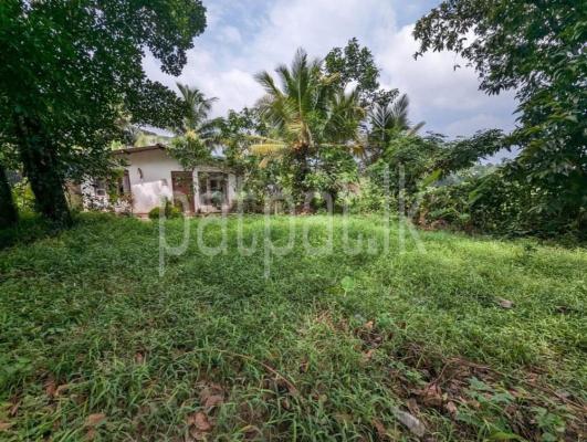 listing-image