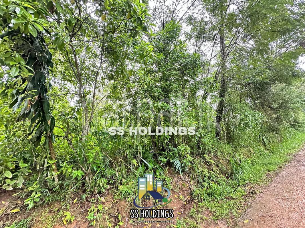 Commercial Land for Sale in Welimada
