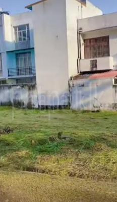 premium-listing-image