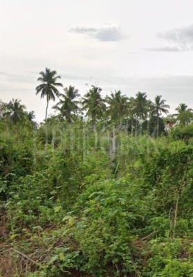 Residential Land for Sale in Tangalla