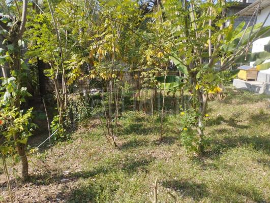 Residential Land for Sale in Homagama