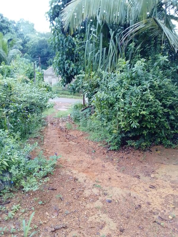 House for Sale in Eheliyagoda