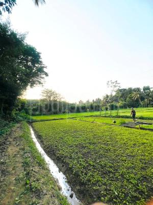 premium-listing-image