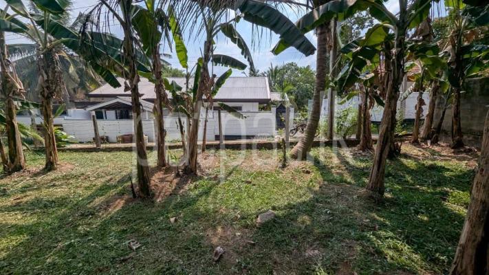 Residential Land for Sale in Weliveriya