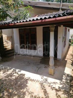 premium-listing-image