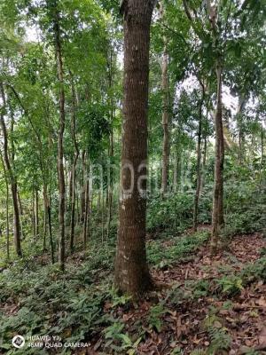 premium-listing-image