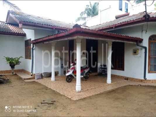 premium-listing-image