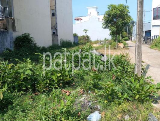 premium-listing-image