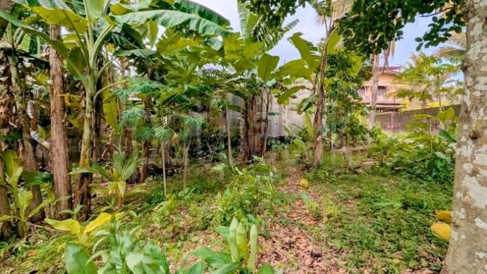 Commercial Land for Sale in Kirillawala