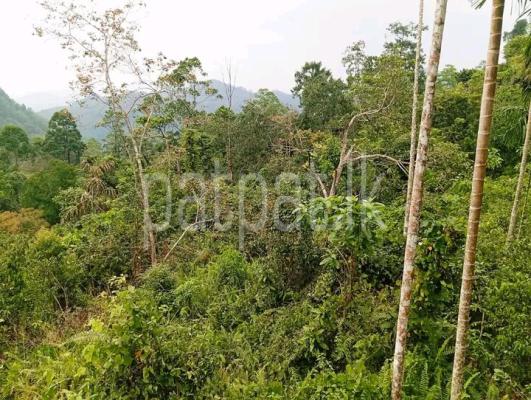 premium-listing-image