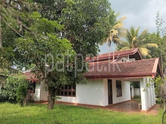 premium-listing-image