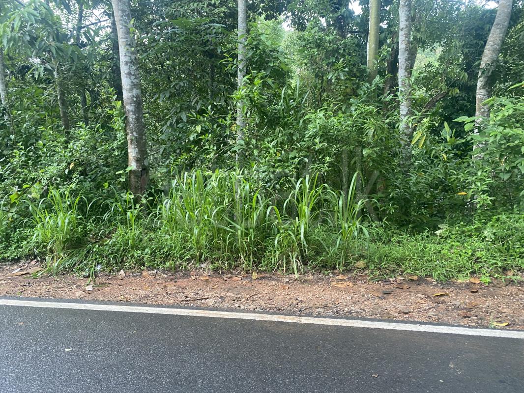 Commercial Land for Sale in Gampola