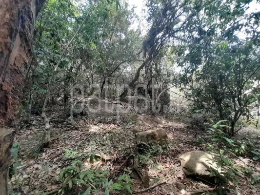 premium-listing-image