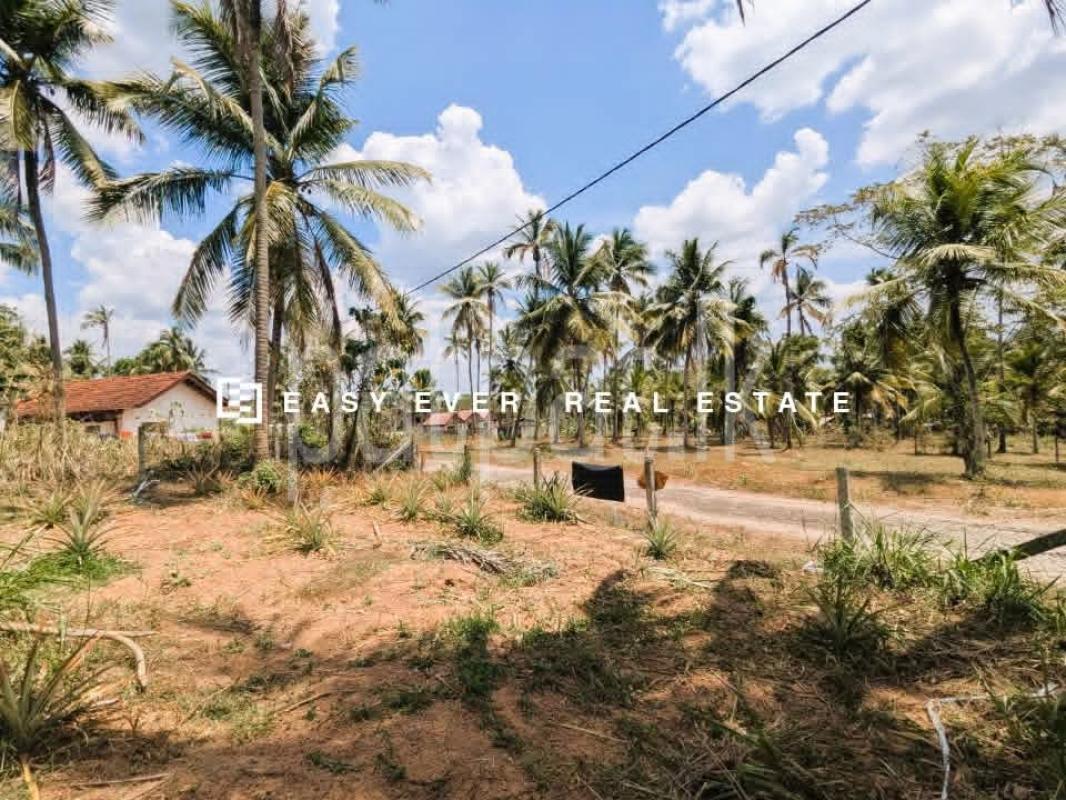 Residential Land for Sale in Mirigama