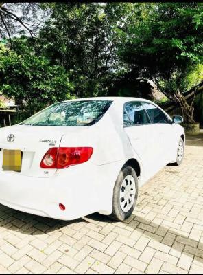 premium-listing-image