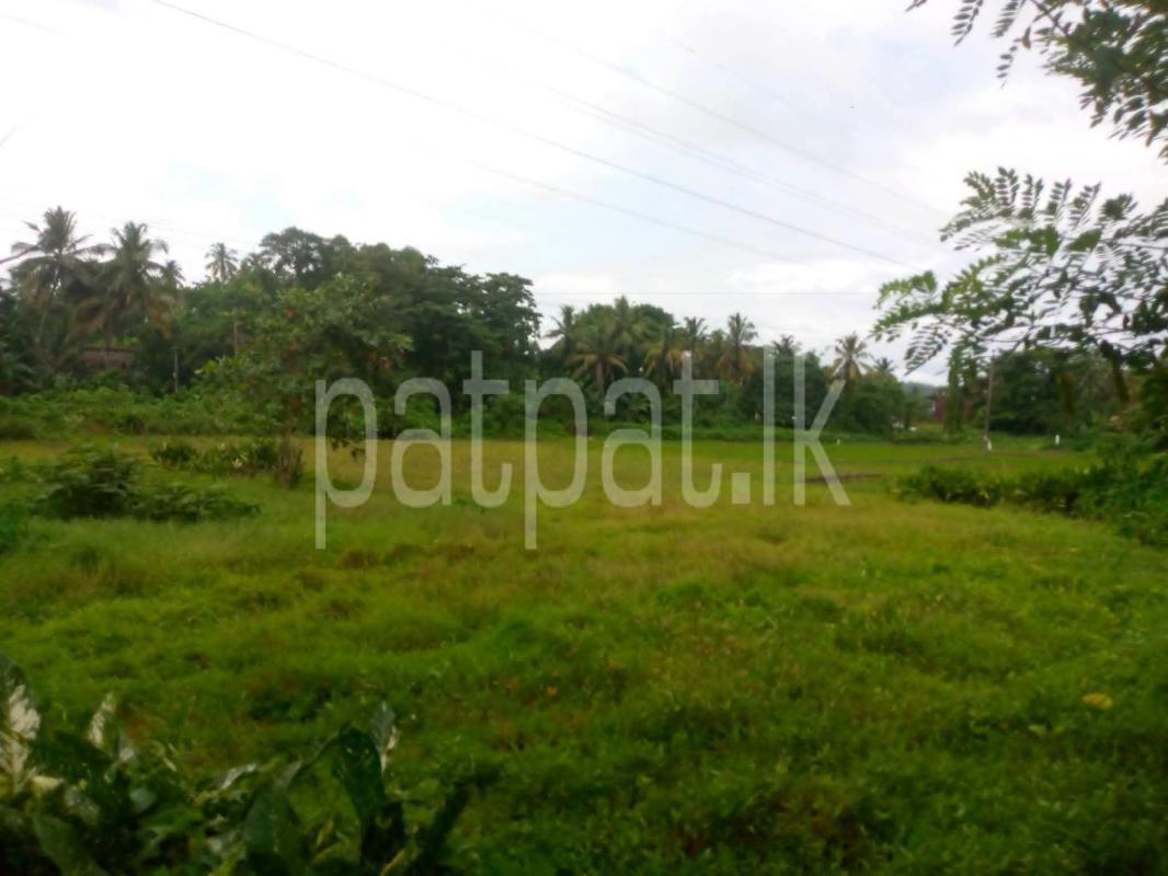 Commercial Land for Sale in Horana